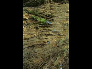 Philippines - Ile de Mindanao - Mines d'or près de Davao